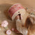 Little Dutch Fairy House | Fairy Garden