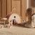 Little Dutch Fairy House | Fairy Garden