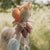 Little Dutch Fairy Garden Cuddle Doll | Fairy Mila