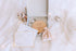 Stellarize Tooth Fairy Kit
