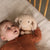 Flow Amsterdam Plush Night Light | Milo